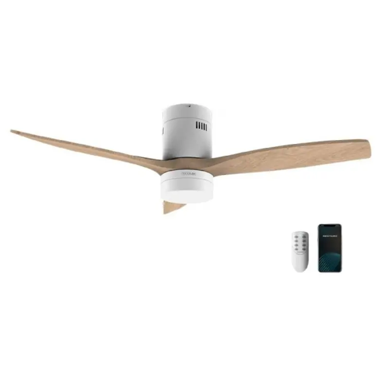 Ceiling Fan Cecotec