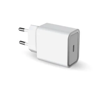 Wall Charger Big Ben Interactive FPLICS1C30WPDW White 30...