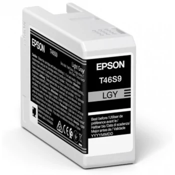 Original Ink Cartridge Epson C13T46S900 Grey