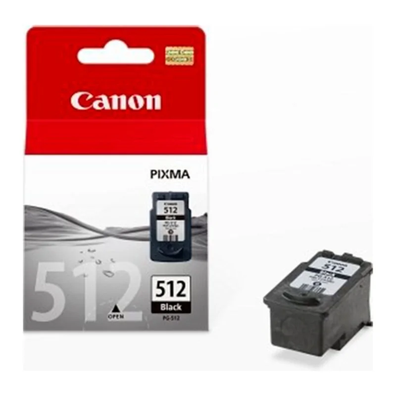 Original Ink Cartridge Canon CCICTO0233 2969B001 Black