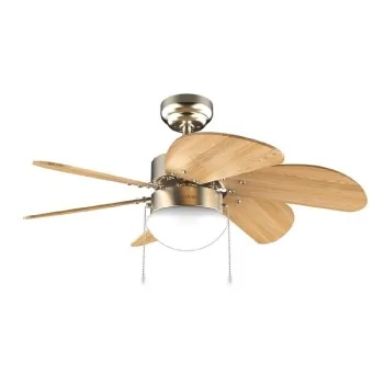 Ceiling Fan with Light Cecotec EnergySilence Aero 360...