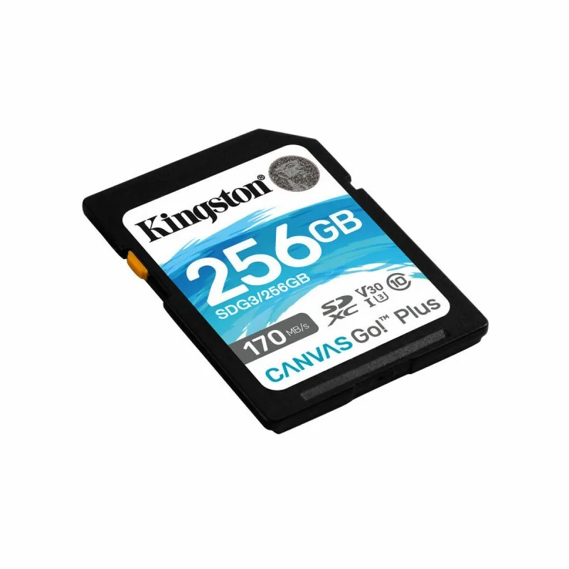 SD Memory Card Kingston SDG3/256GB