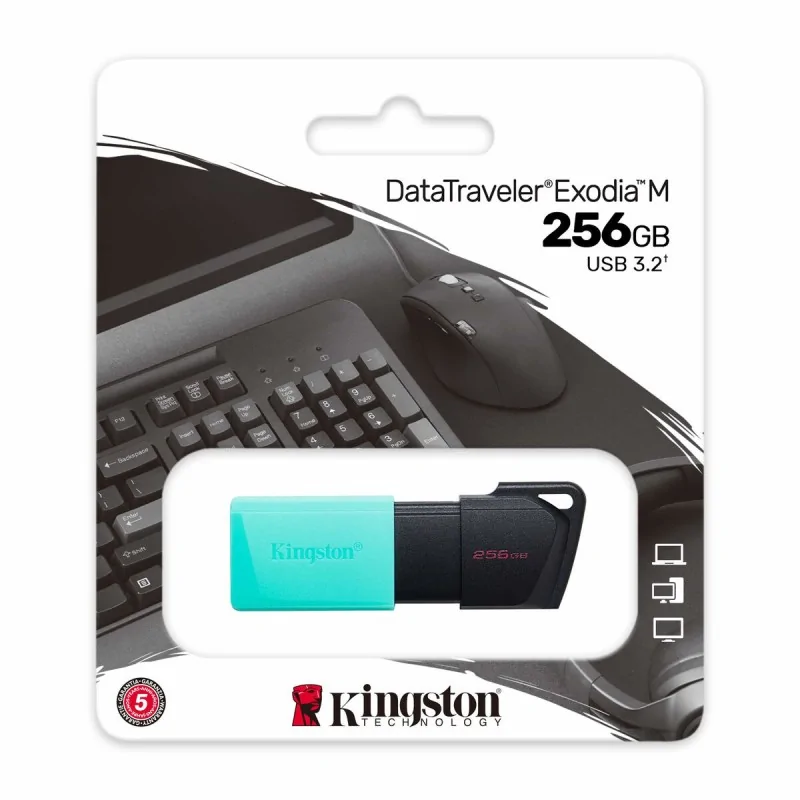 Pendrive Kingston DTXM/256GB Keychain Black Turquoise 256 GB