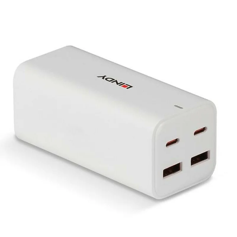 Wall Charger LINDY 73441 White 100 W