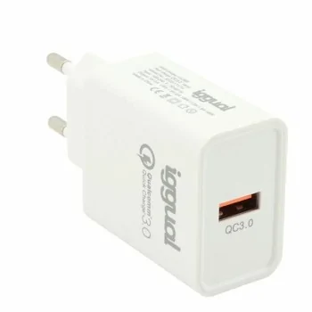 Wall Charger iggual IGG317174