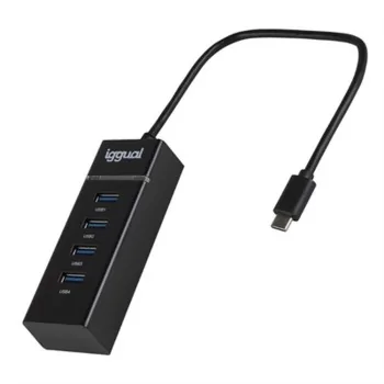 USB Hub iggual IGG319239