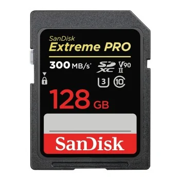 SDXC Memory Card SanDisk SDSDXDK-128G-GN4IN 128 GB SDXC...