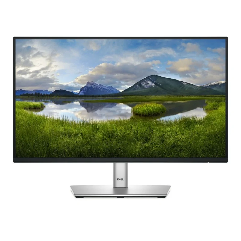 Monitor Dell P2225H 21,5" Full HD 100 Hz