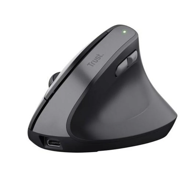 Mouse Trust Black Grey 2400 dpi