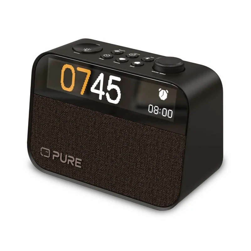 Clock-Radio Pure PURE MOMENT