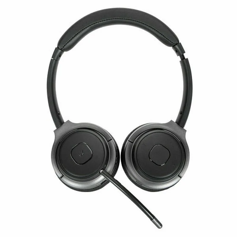 Headphones Targus AEH104GL Black