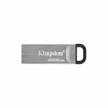 Pendrive Kingston DTKN/256GB USB 3.2 Silver Black 256 GB