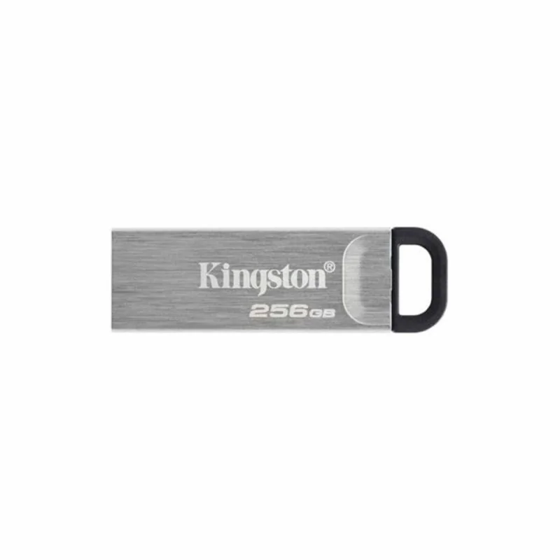 Pendrive Kingston DTKN/256GB USB 3.2 Silver Black 256 GB