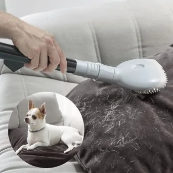 Vacuum Cleaner Brush Smoovah InnovaGoods