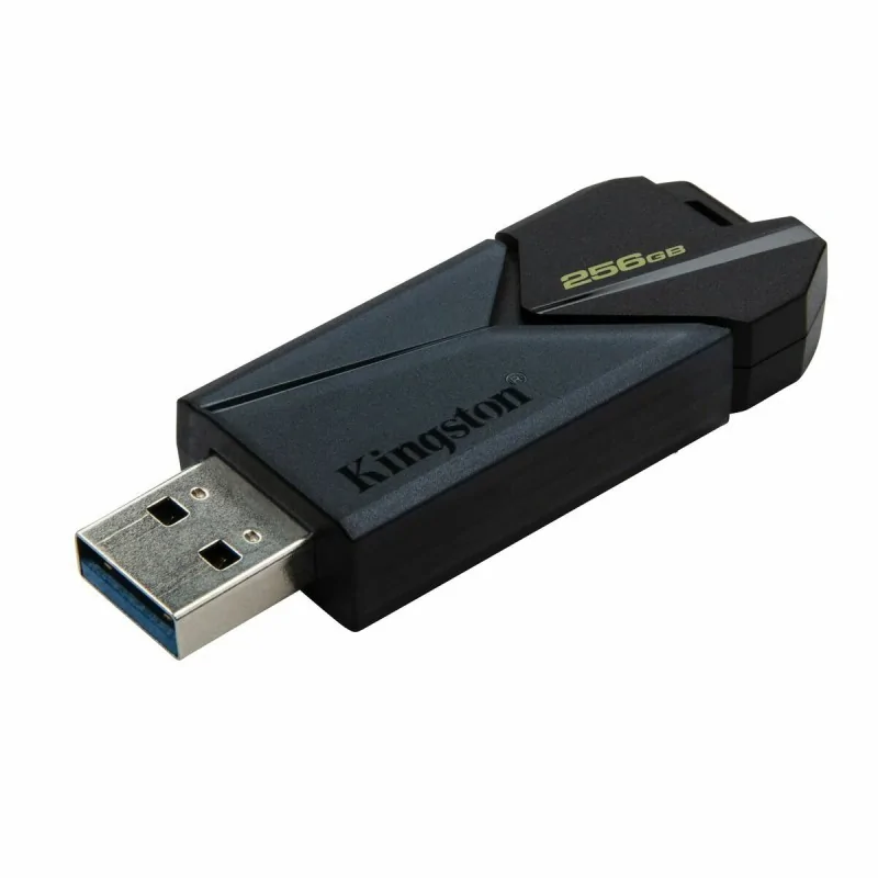 USB stick Kingston DTXON/256GB Black 256 GB