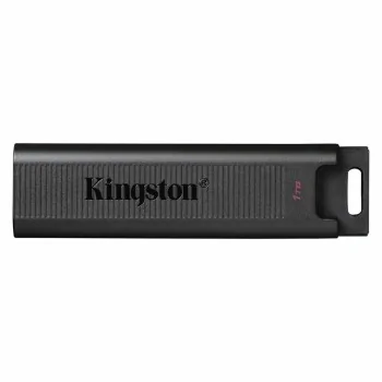 USB stick Kingston DTMAX/1TB Black 1 TB