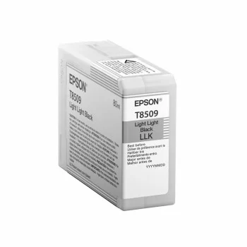 Original Ink Cartridge Epson C13T850900 Black