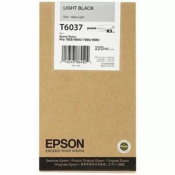 Original Ink Cartridge Epson C13T603700 Black